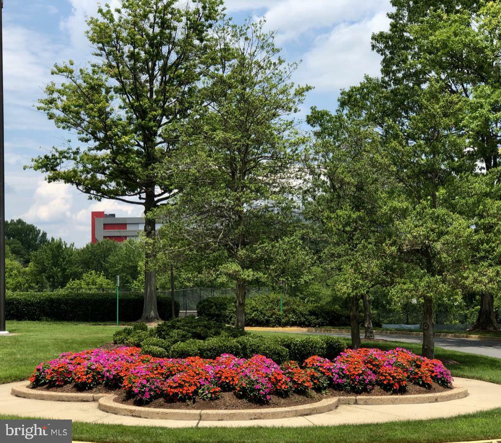 Property Photo: 1800 Old Meadow Road 609 VA 22102