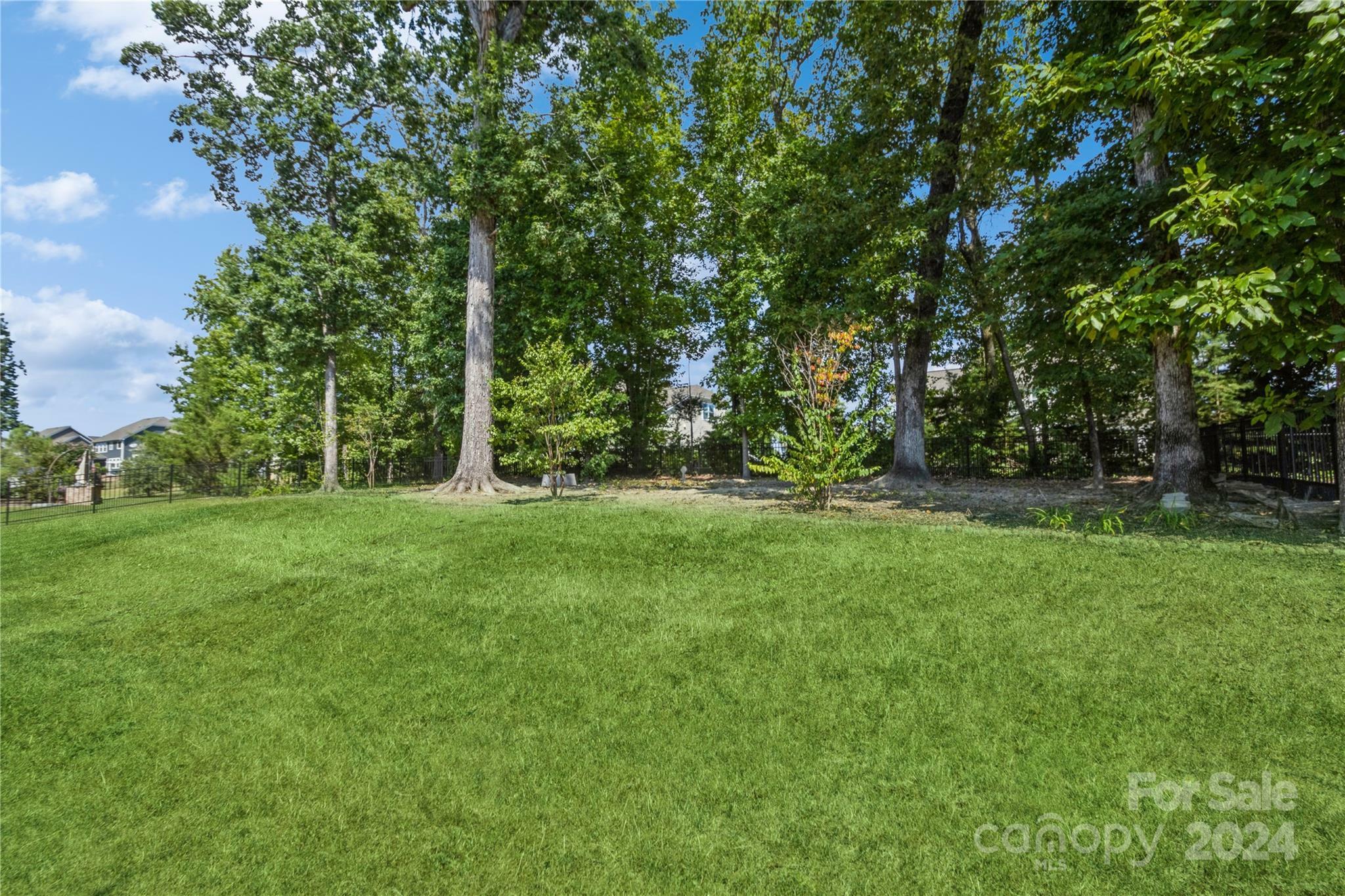 Property Photo:  17011 Alydar Commons Lane  NC 28278 