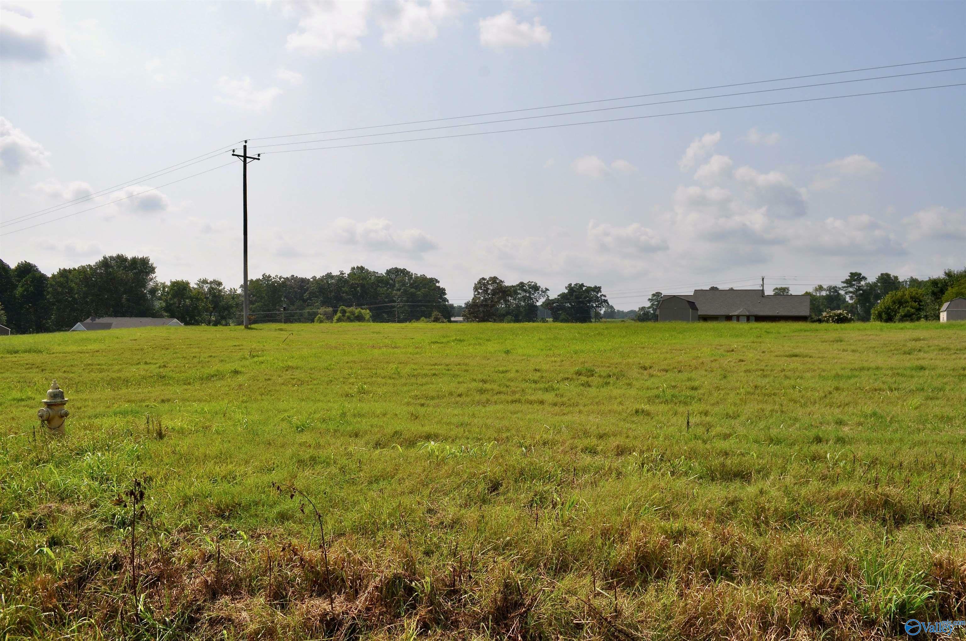 Property Photo:  Lot 3 Tiffany Drive  AL 35058 