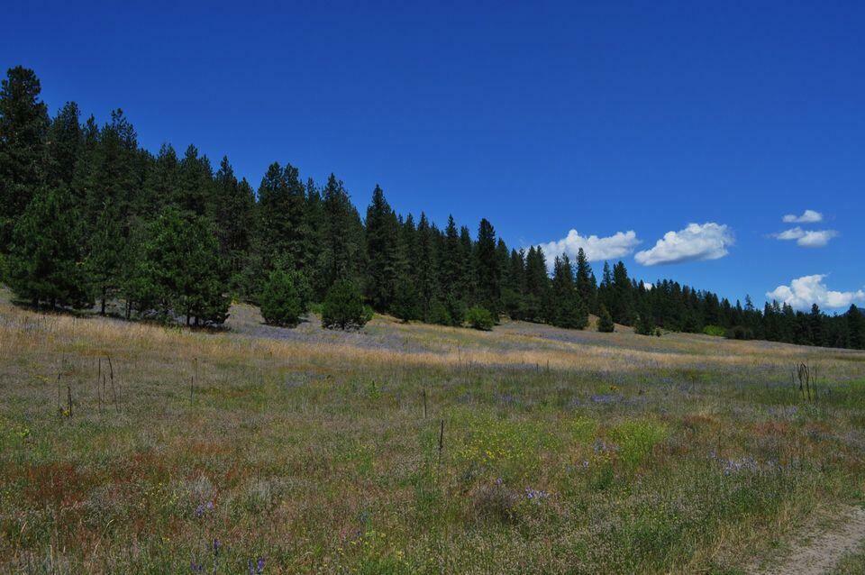 Property Photo: 36xx Critter Way WA 99141