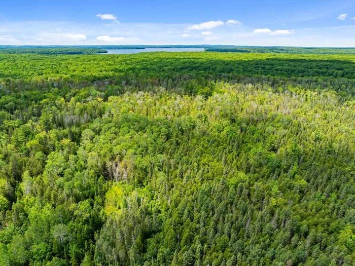 0 Wendell  Cheboygan MI 49721 photo