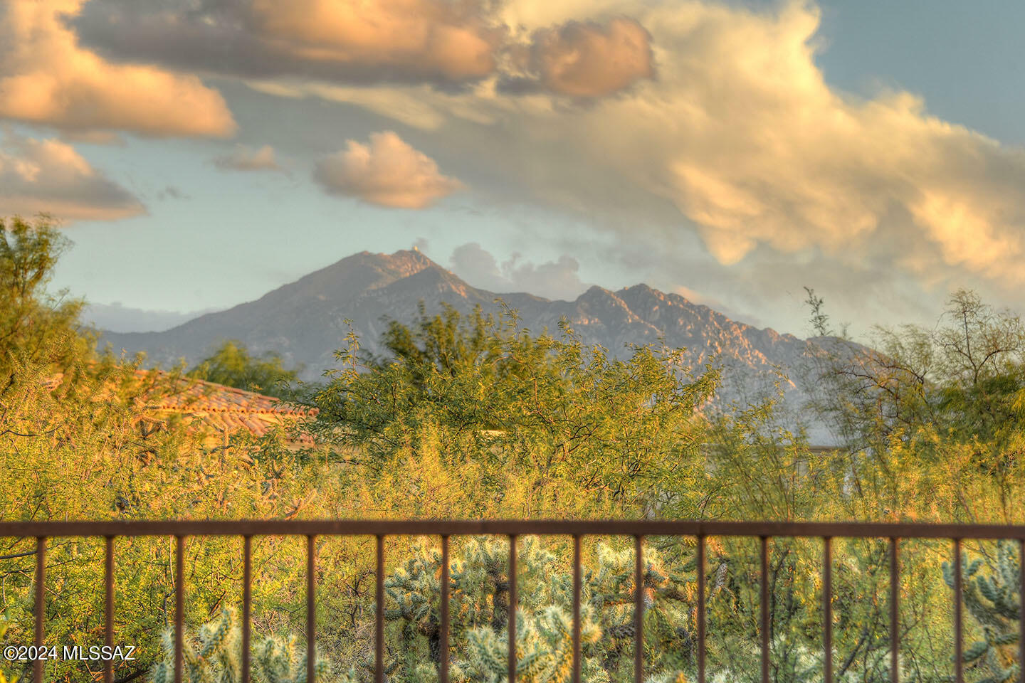 Property Photo:  1053 E Baldy Spring Place  AZ 85614 