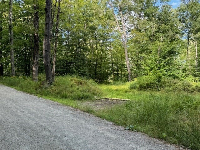 Property Photo:  Lot 119 Davis Mine Rd  MA 01367 