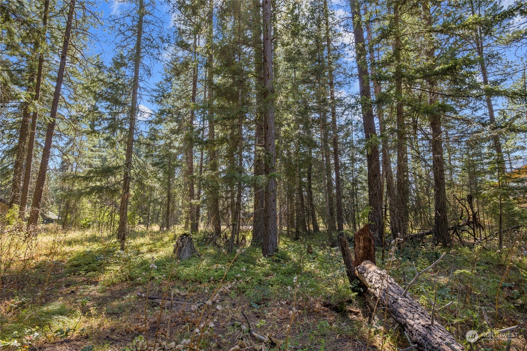 Property Photo:  0 Lot 56 Kokanee Loop  WA 98922 