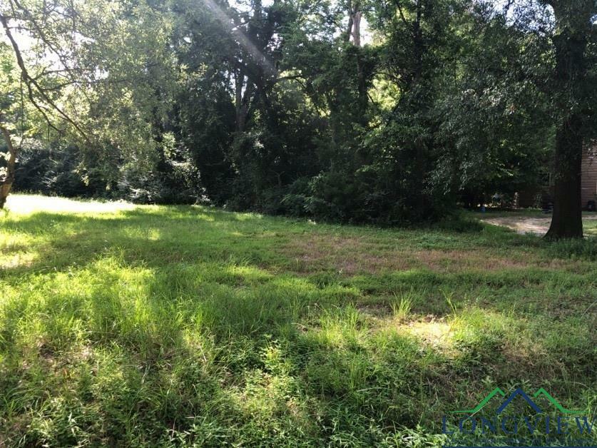 Property Photo:  1104 Hutchings Boulevard  TX 75602 