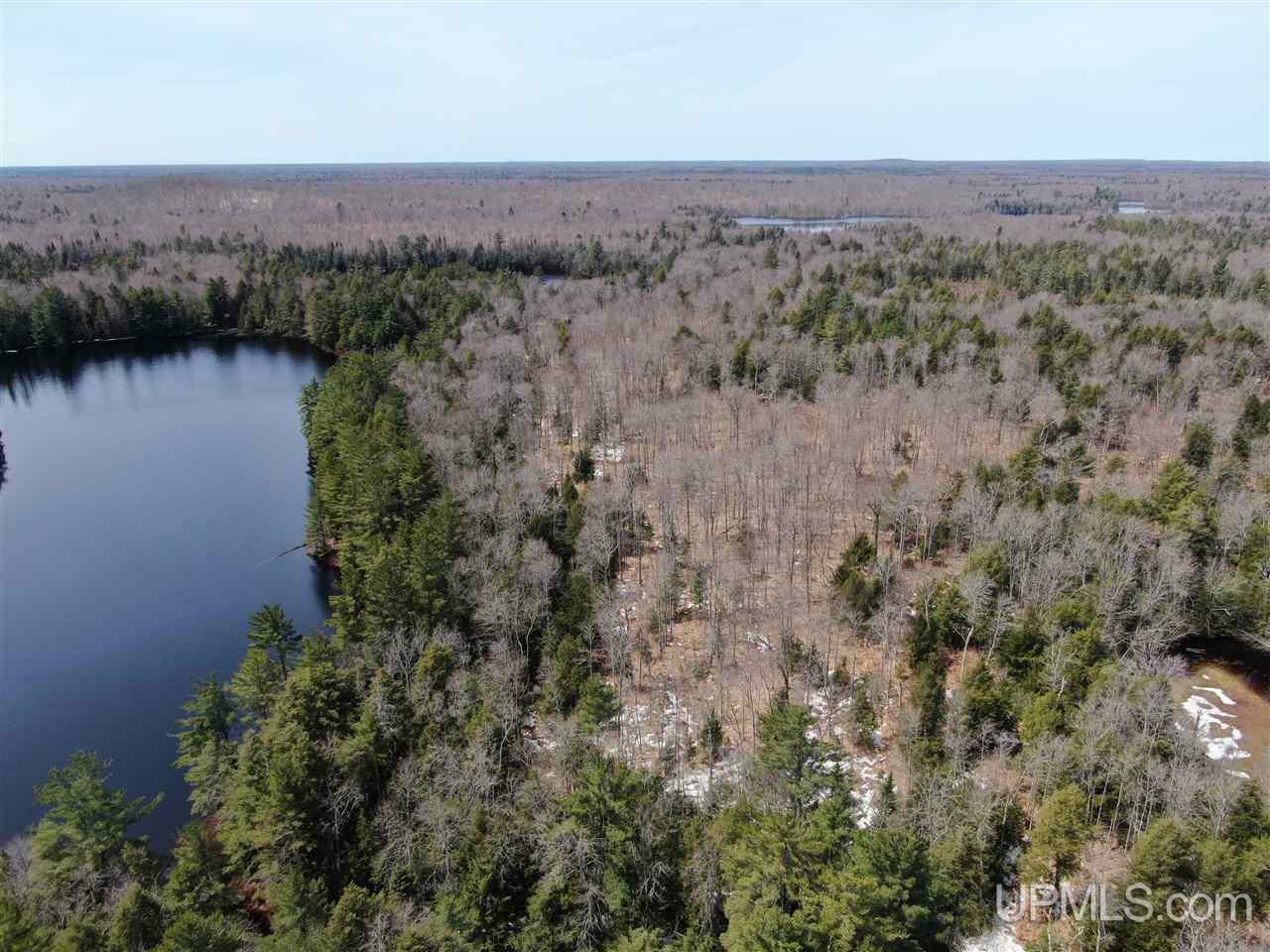 Property Photo:  0000 Near Old Seney  MI 49883 