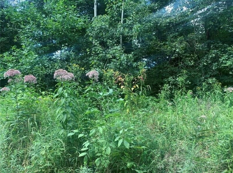 Property Photo:  Lot 2B & 4 Vickerman Rd  PA 16137 