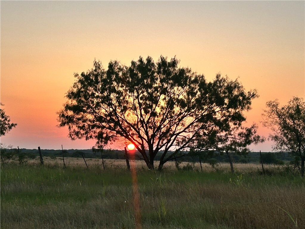 Tbd Lcr 300 Road  Mart TX 76664 photo