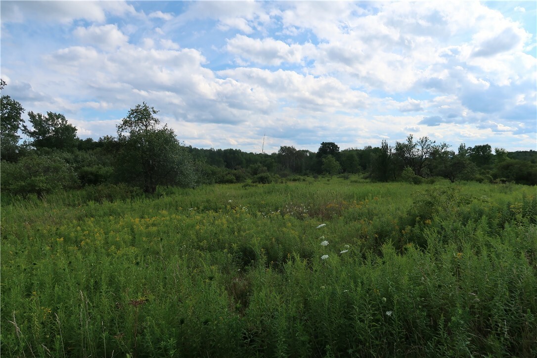 Property Photo:  Lot 2 German Road  NY 13863 