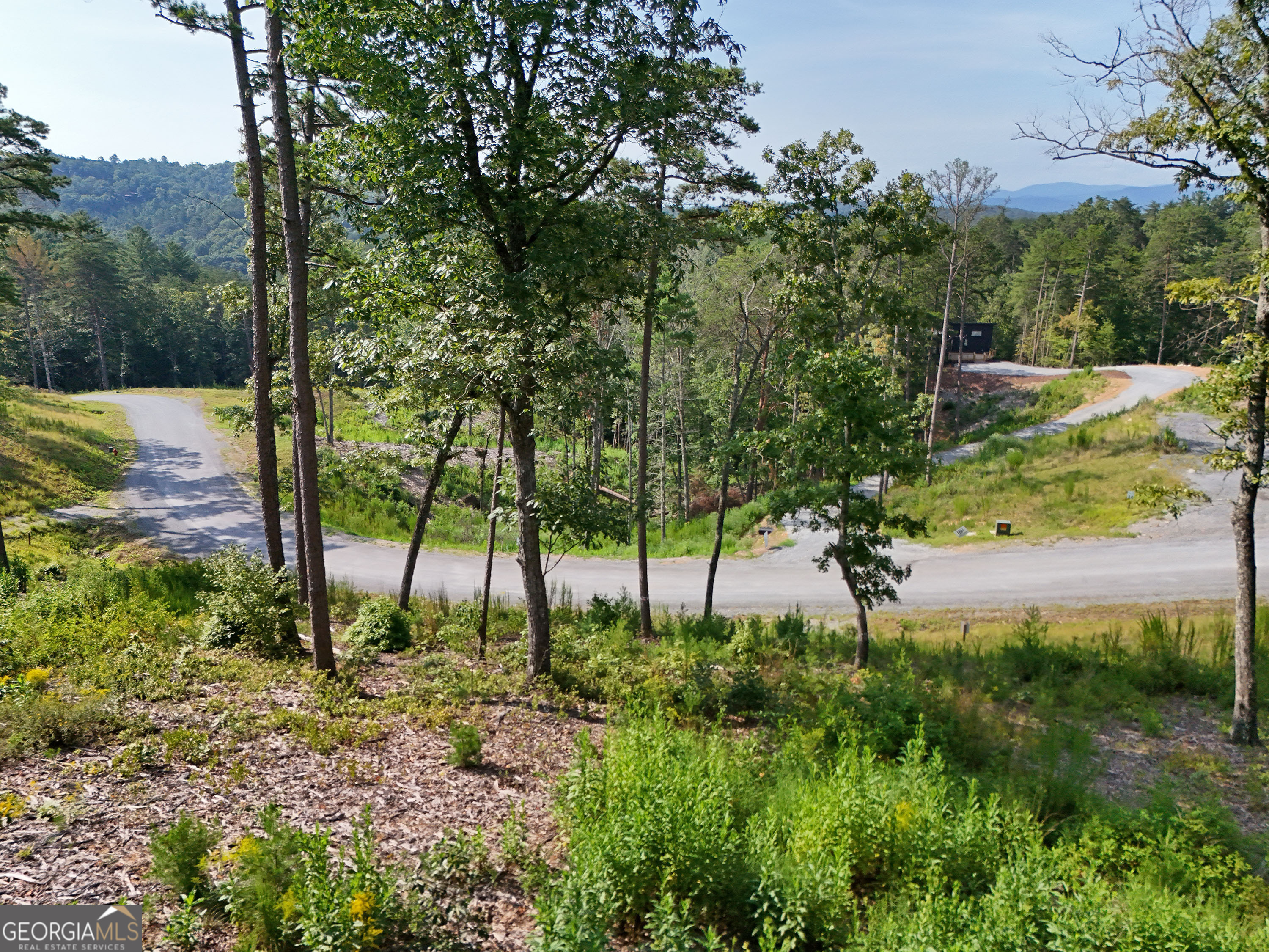 Property Photo:  Lot 3 Mountain Laurel Ridge  GA 30559 