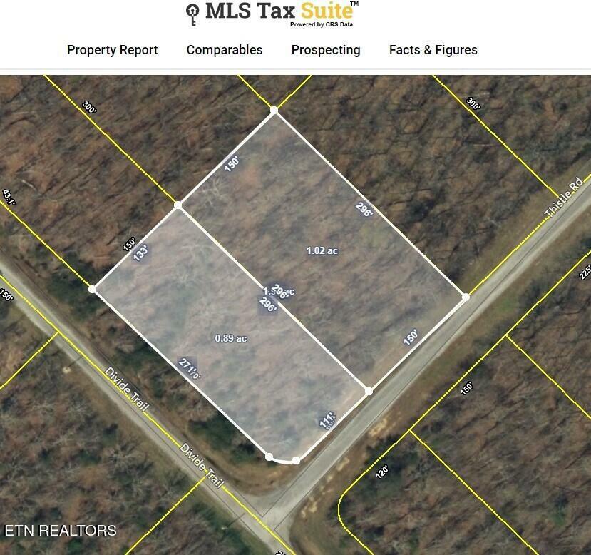 Property Photo:  Thistle Rd. Lot 2 & 3  TN 38574 