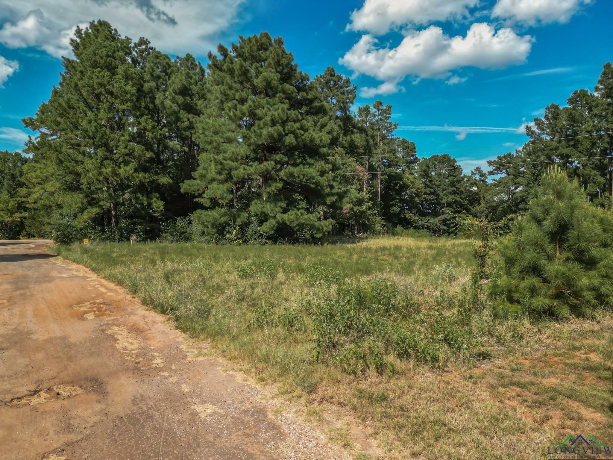 Property Photo:  Lots 20-21 Lake Gladewater Dr.  TX 75647 