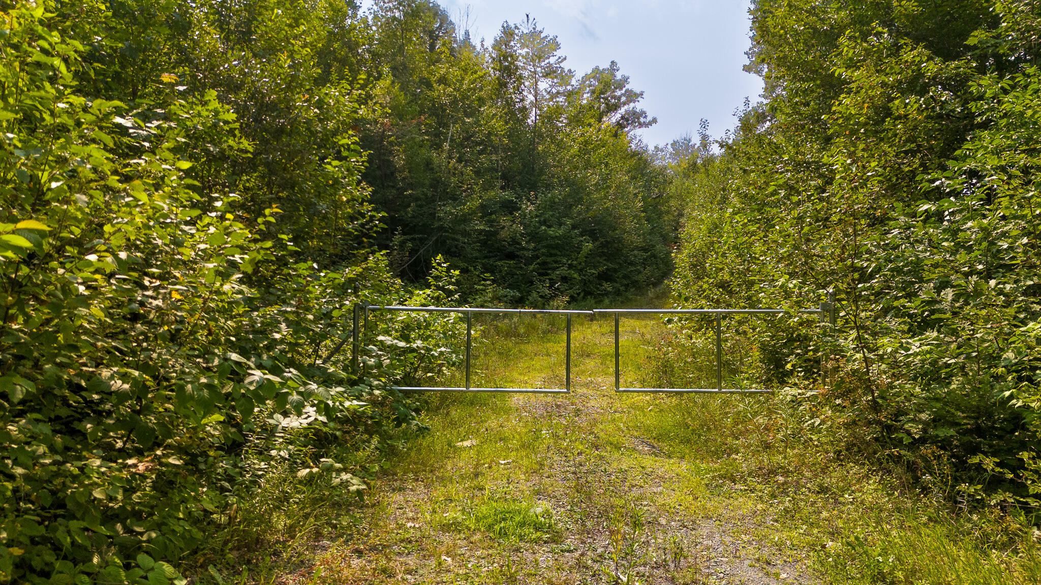 Property Photo:  Lot7 Bear Brook Subdivision  ME 04481 