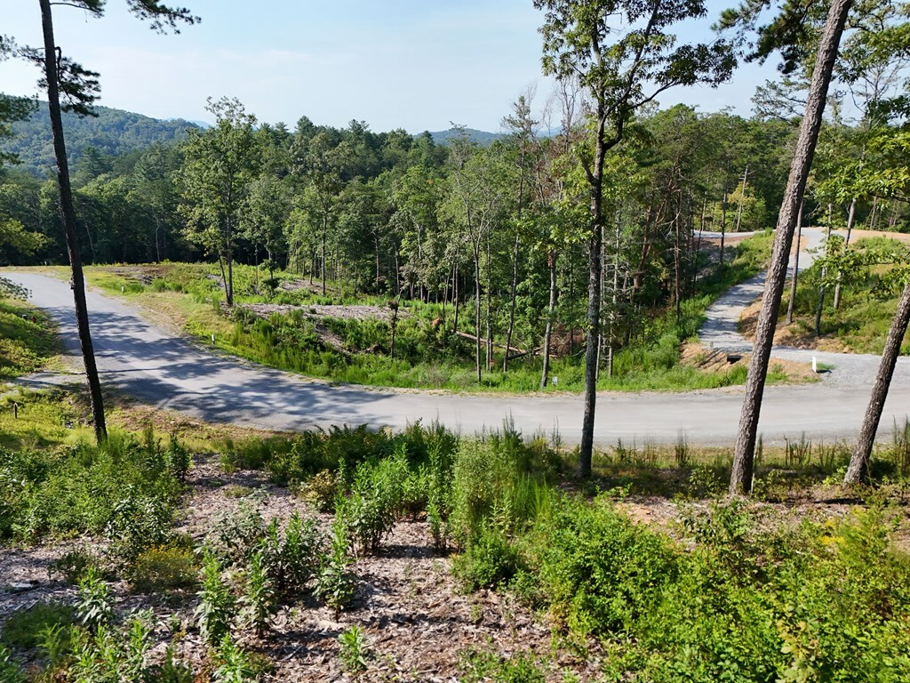 Property Photo:  Lot 3 Mountain Laurel Ridge  GA 30559 