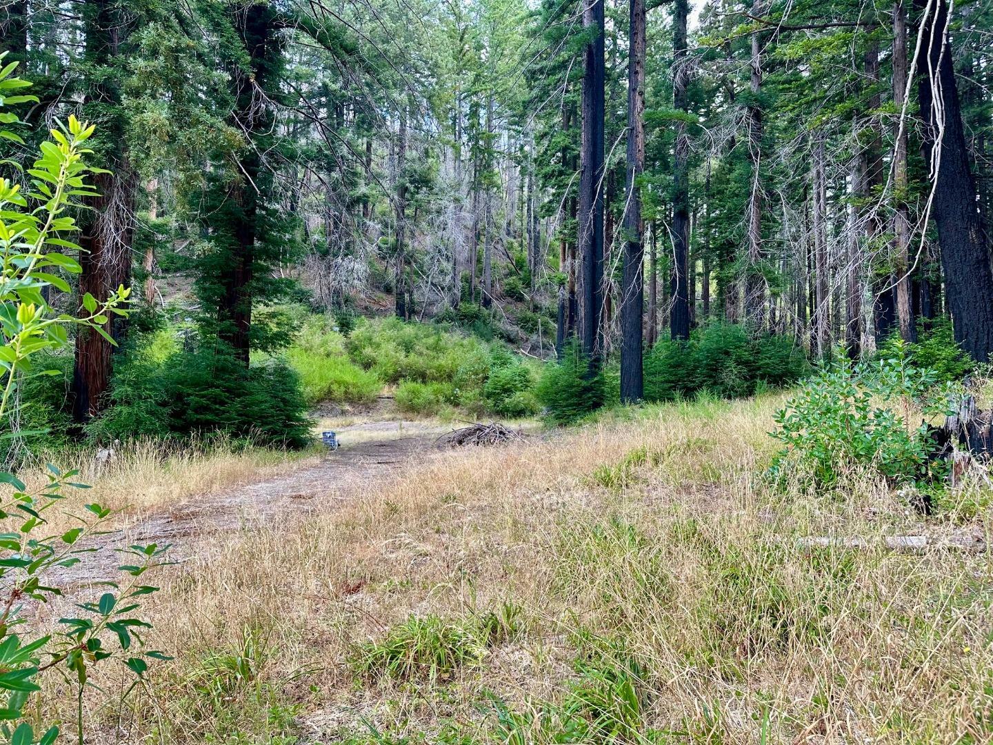 Property Photo:  4301 Whitehouse Creek Road  CA 95017 