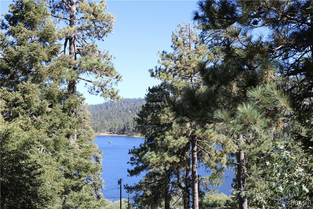 Property Photo:  217 Big Bear Tract  CA 92333 