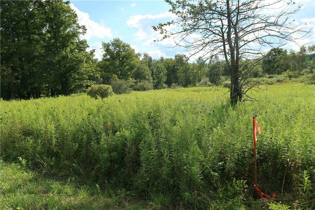 Property Photo:  Lot 4 German Road  NY 13863 