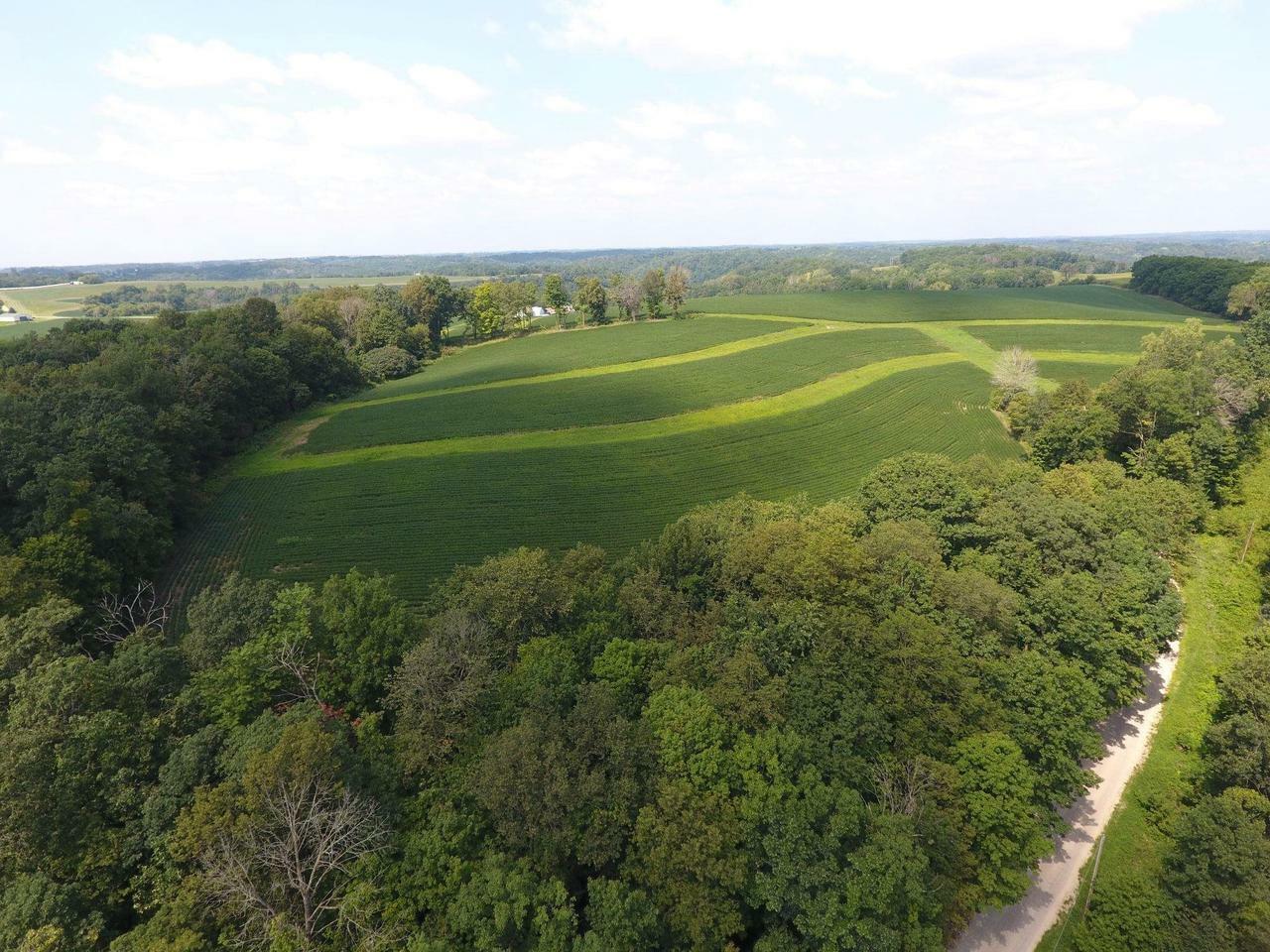 65.5 Acres Kanton Road  Blue River WI 53518 photo