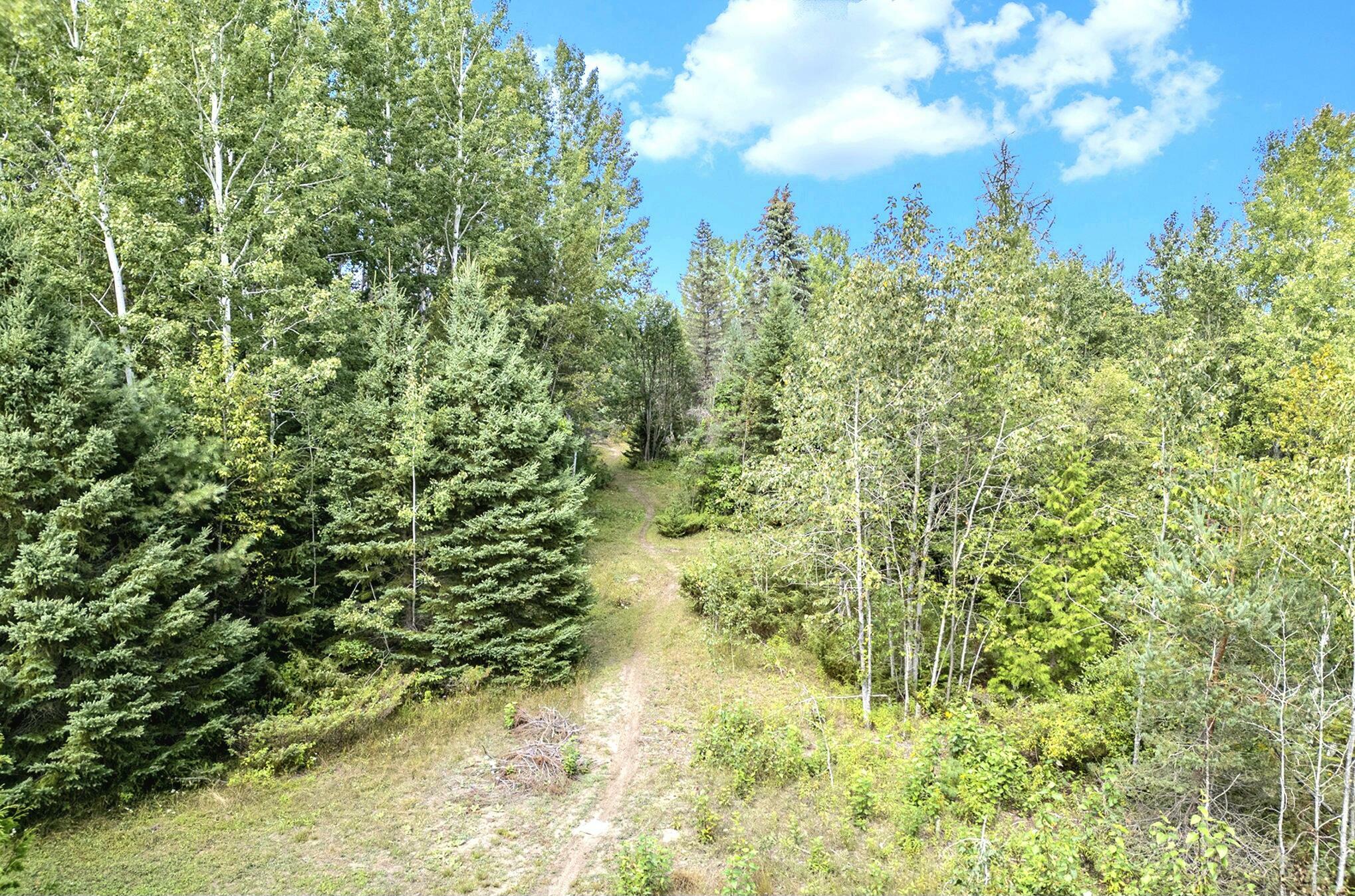 Property Photo:  Lot 1 E State Street 10.82 Ac  MI 49721 