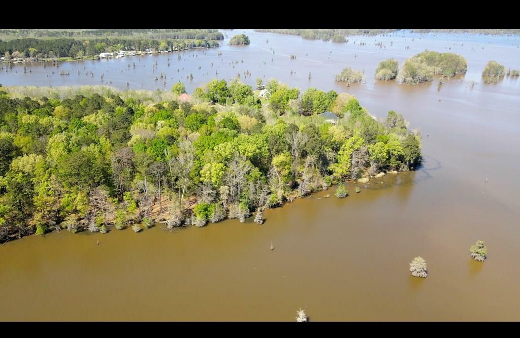 N A Lot 1 - Sawdust Ln  Cobb GA 31735 photo