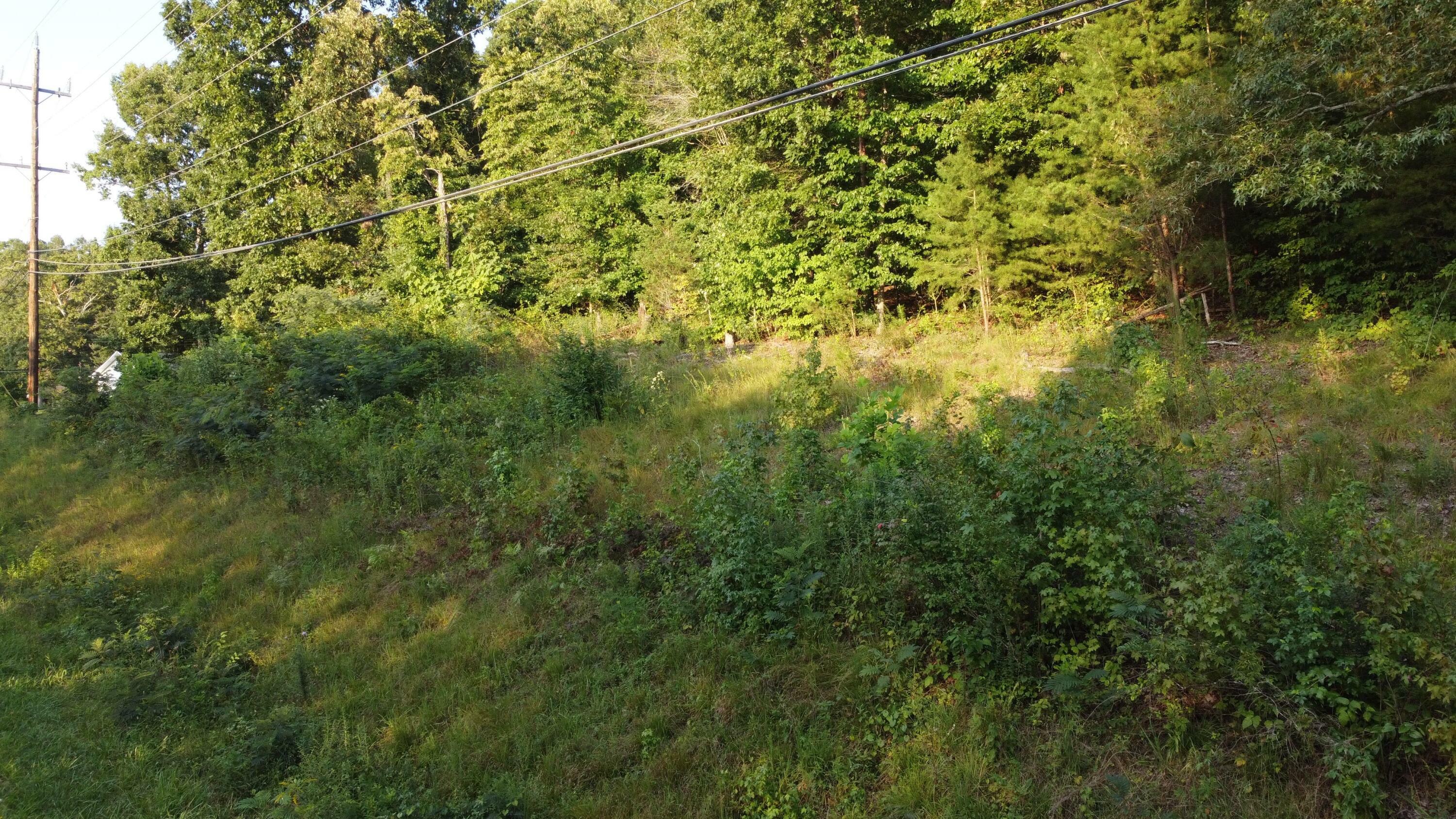 Property Photo:  9520 Dallas Hollow Rd  TN 37379 