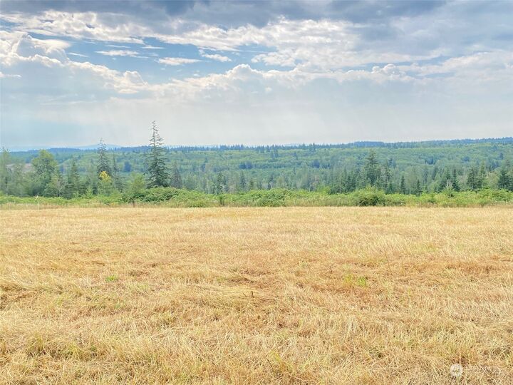 Property Photo: 174 Oppelt Road WA 98532