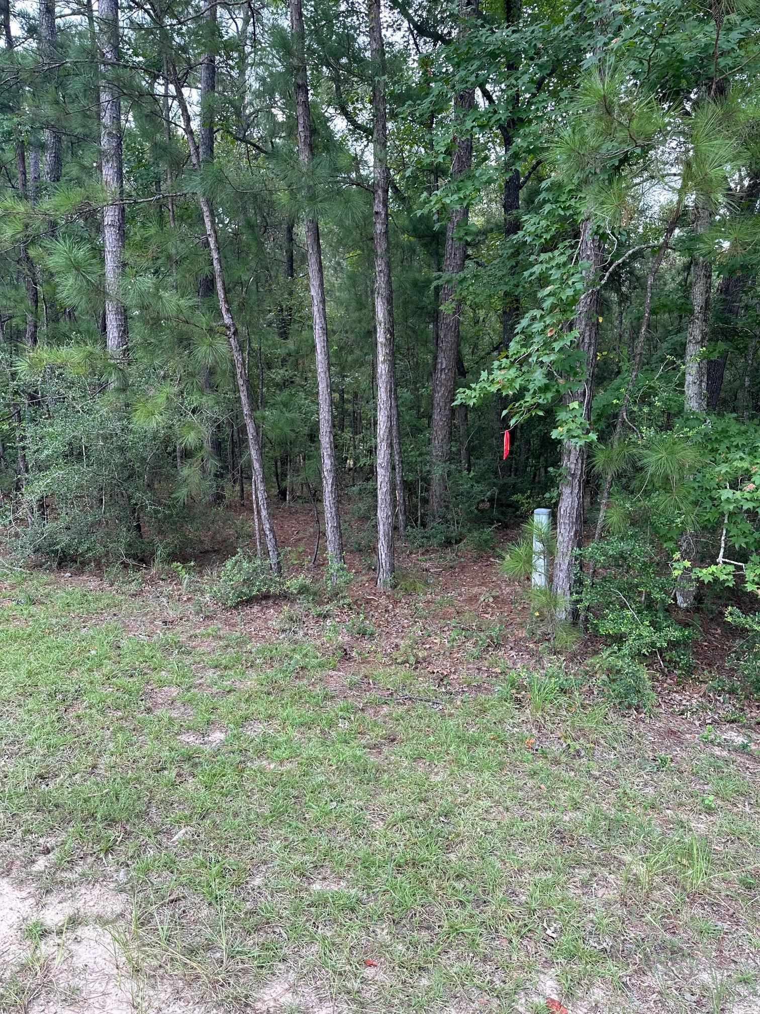 Property Photo:  Tbd Bushy Ln.  TX 75931 