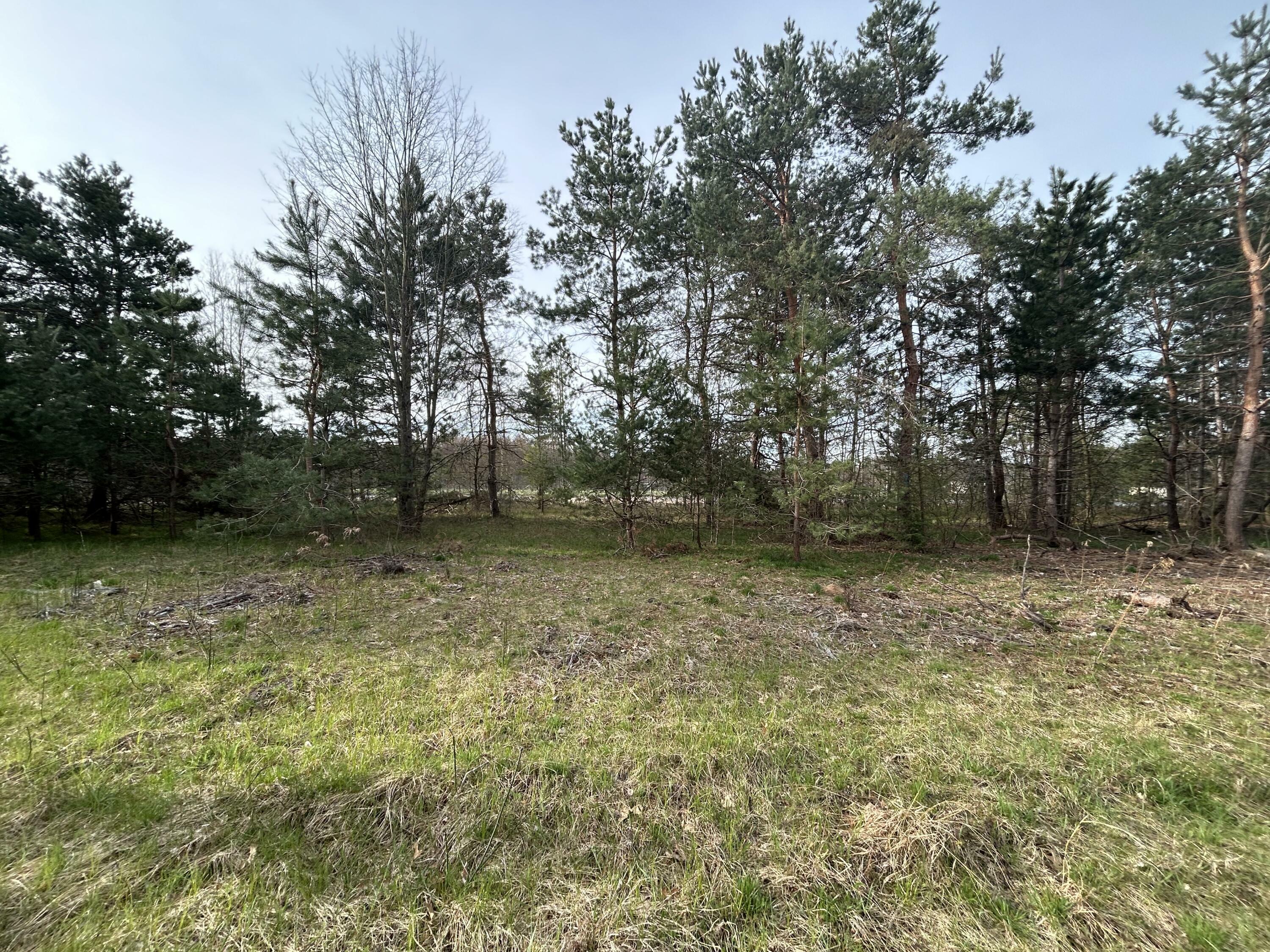 Property Photo:  5420 S Dangl Road  MI 49415 