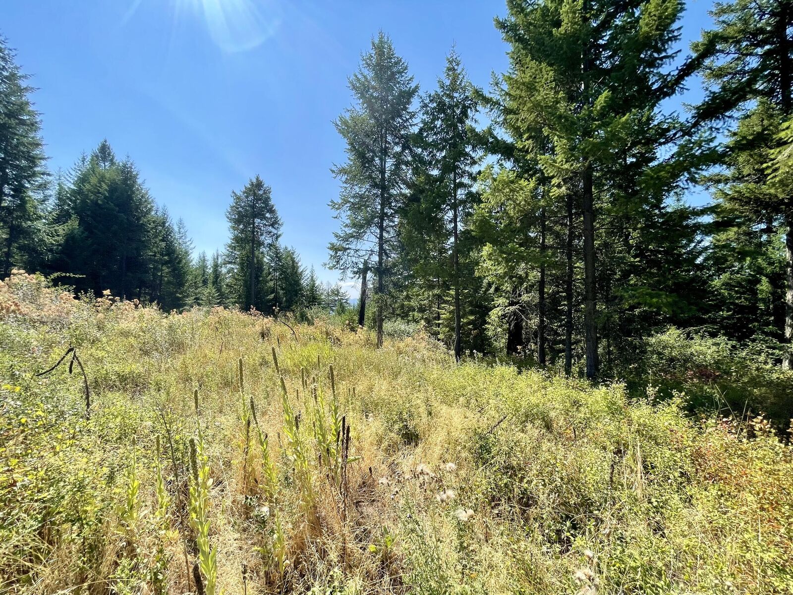 Property Photo:  2599 F Scott Rd  WA 99167 