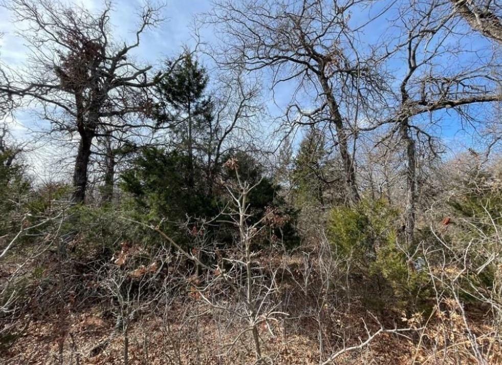 Property Photo:  0 Lot 14 Toad Road  OK 73045 