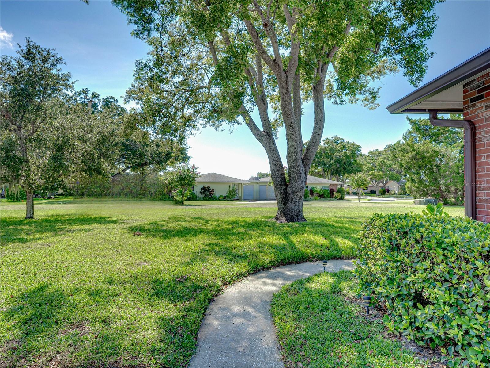 Property Photo:  1231 Queen Anne Drive D  FL 34684 