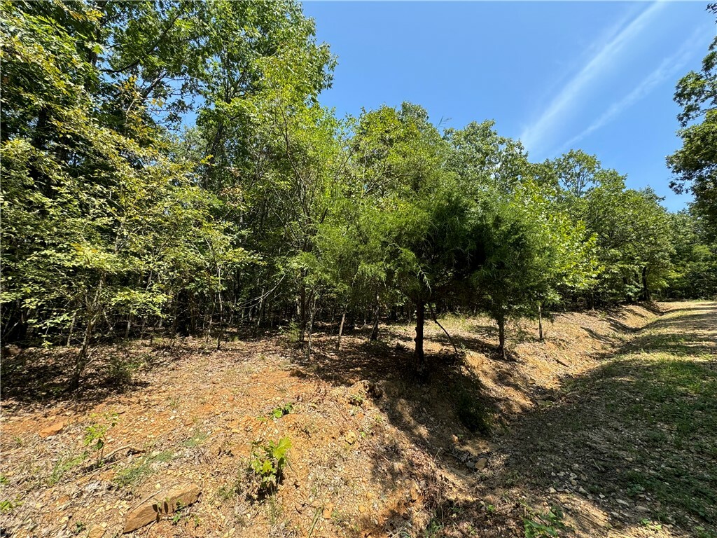 Property Photo:  Tract B Director Road  AR 72774 