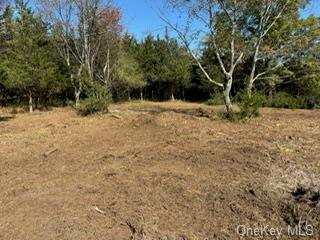 Property Photo: Lot 9 Woodin Place NY 12570