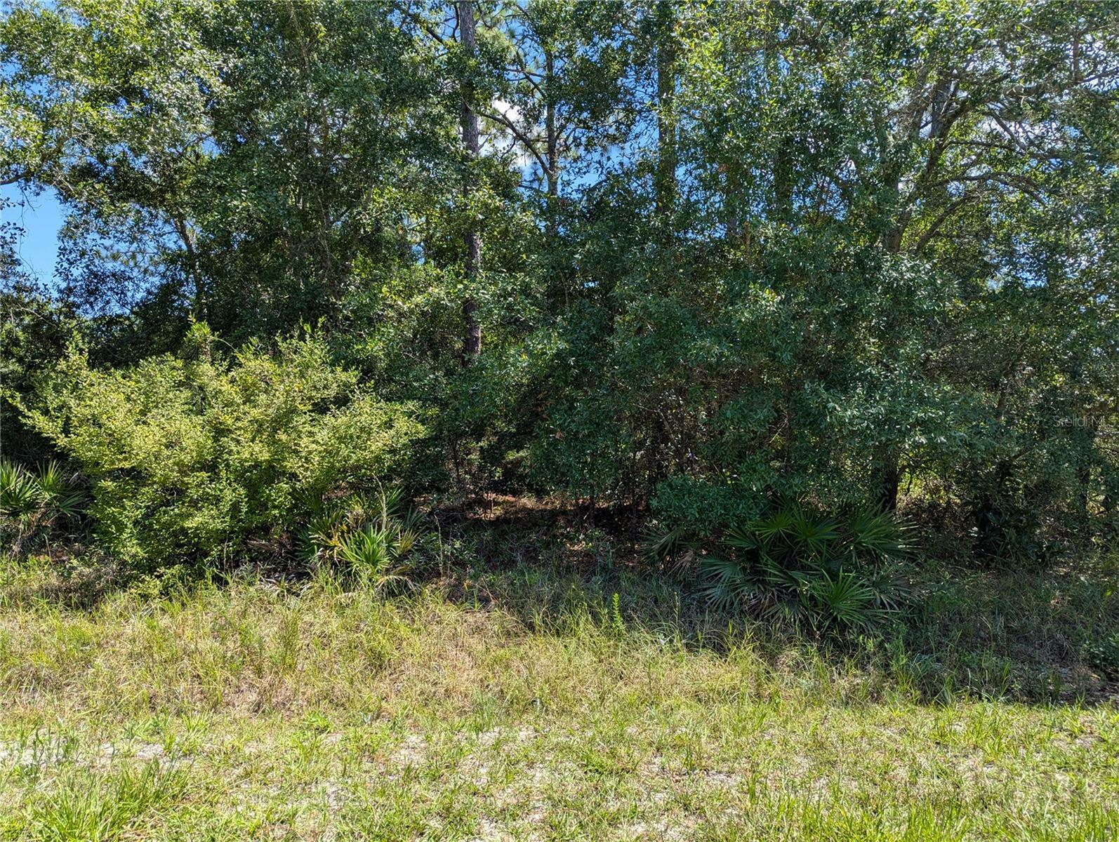 Property Photo: Bud Crum Road FL 32346