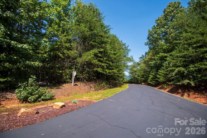 Property Photo: 0 Pioneer Gate Drive 55 NC 28018