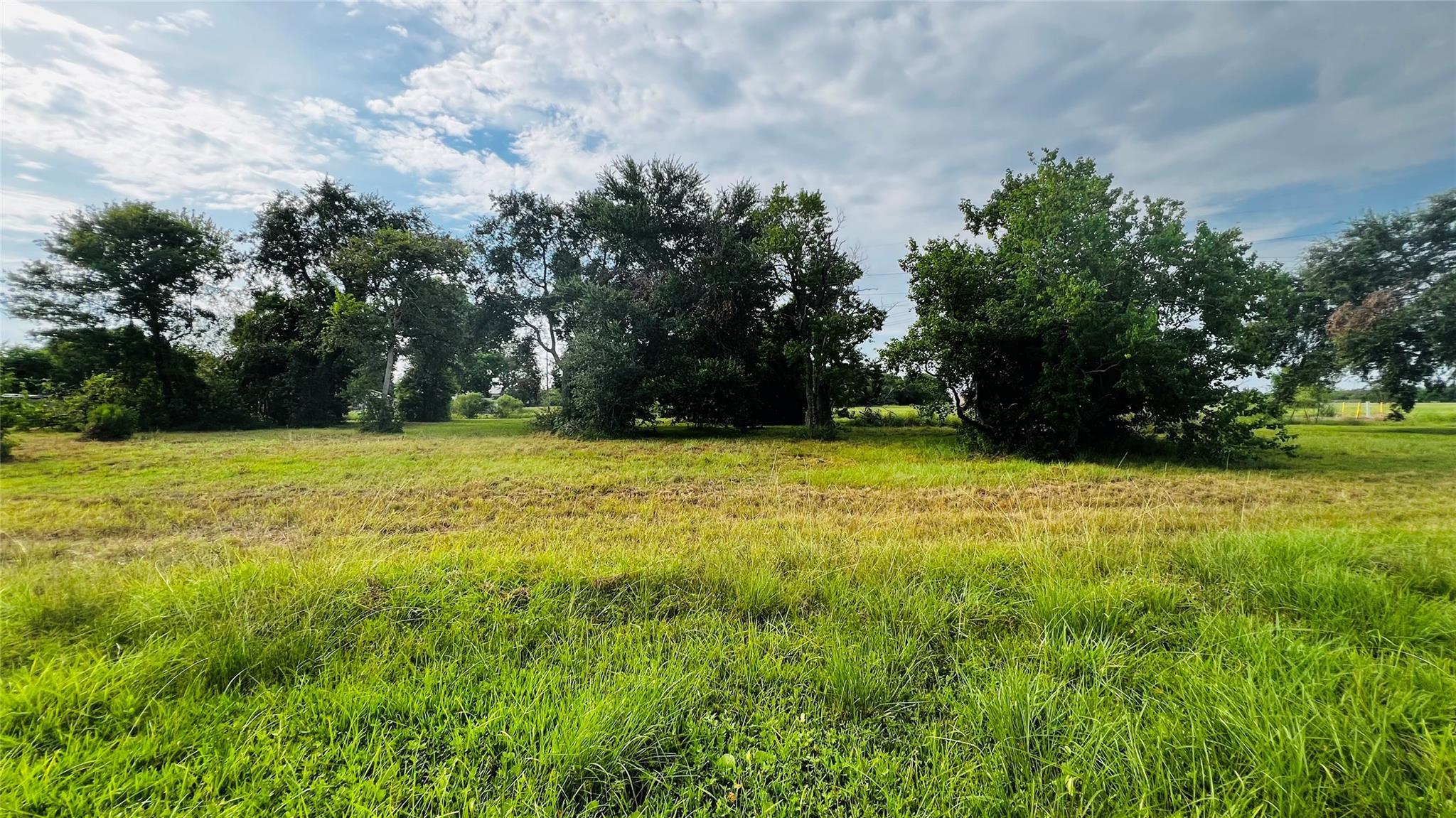Property Photo: 0 Muriel St Lot 3 TX 77568