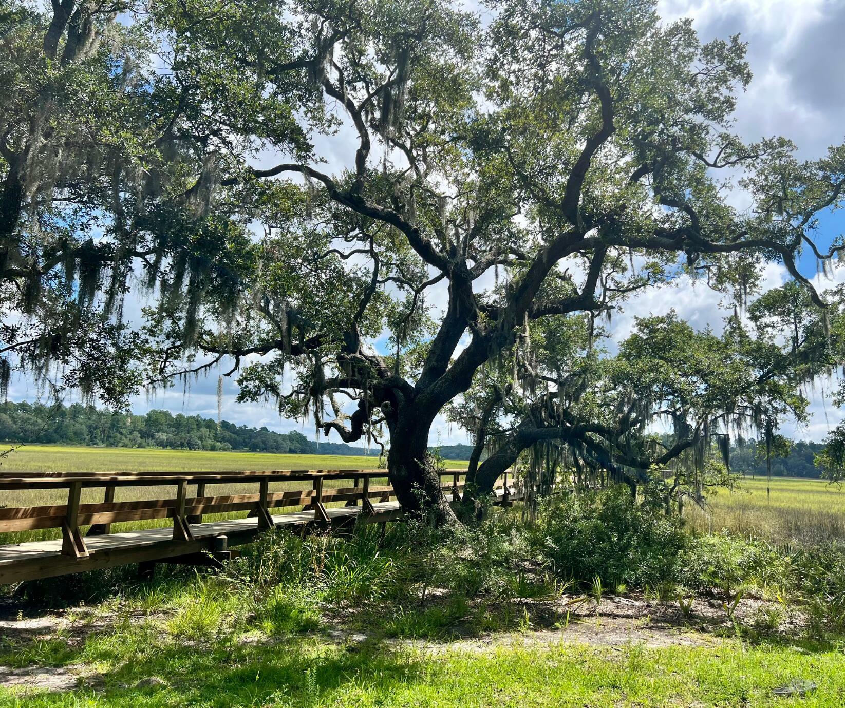 Property Photo:  265 Castle Hill Drive  SC 29945 