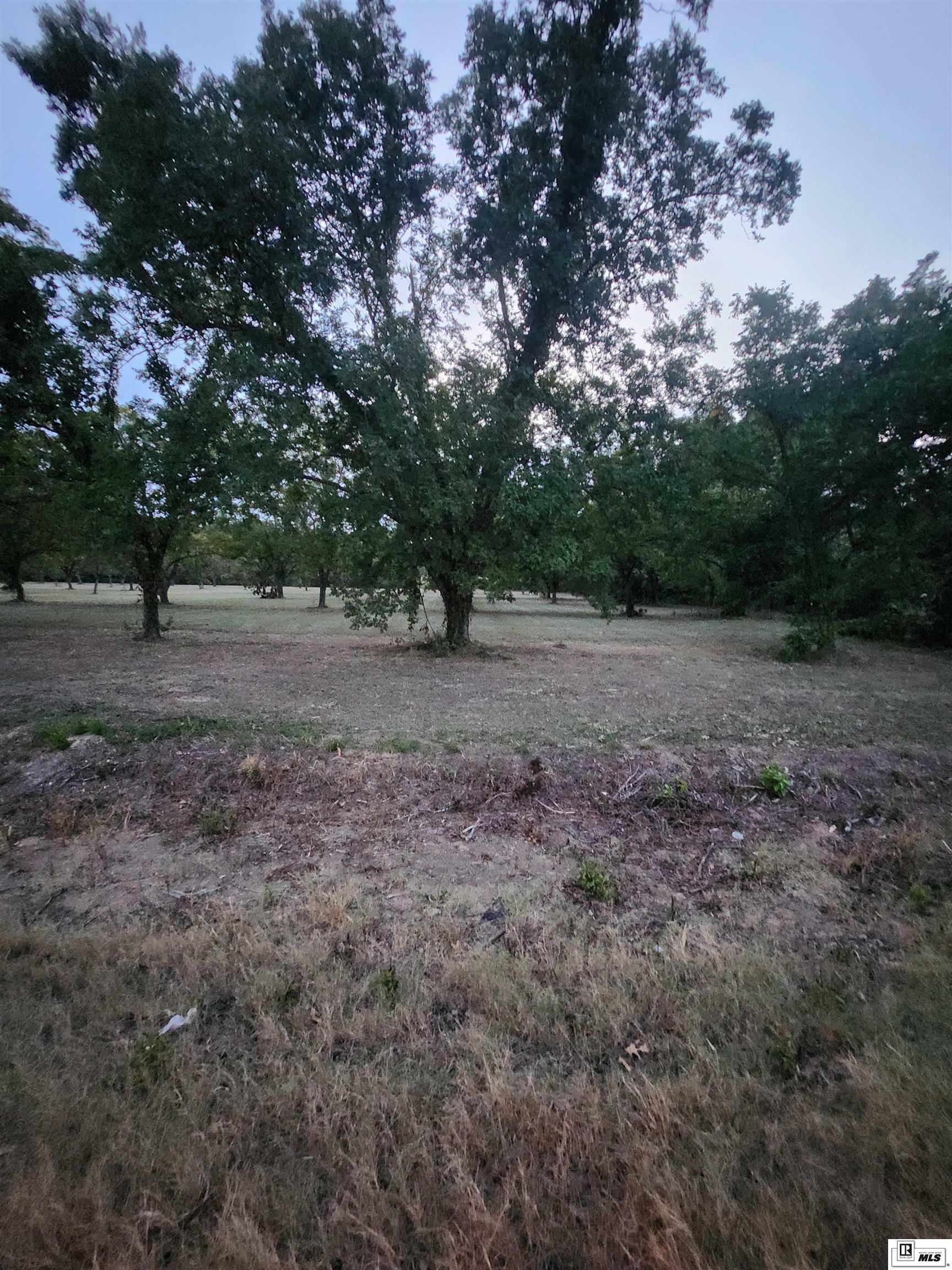 Property Photo:  Tract 1 Highway 578  LA 71295 