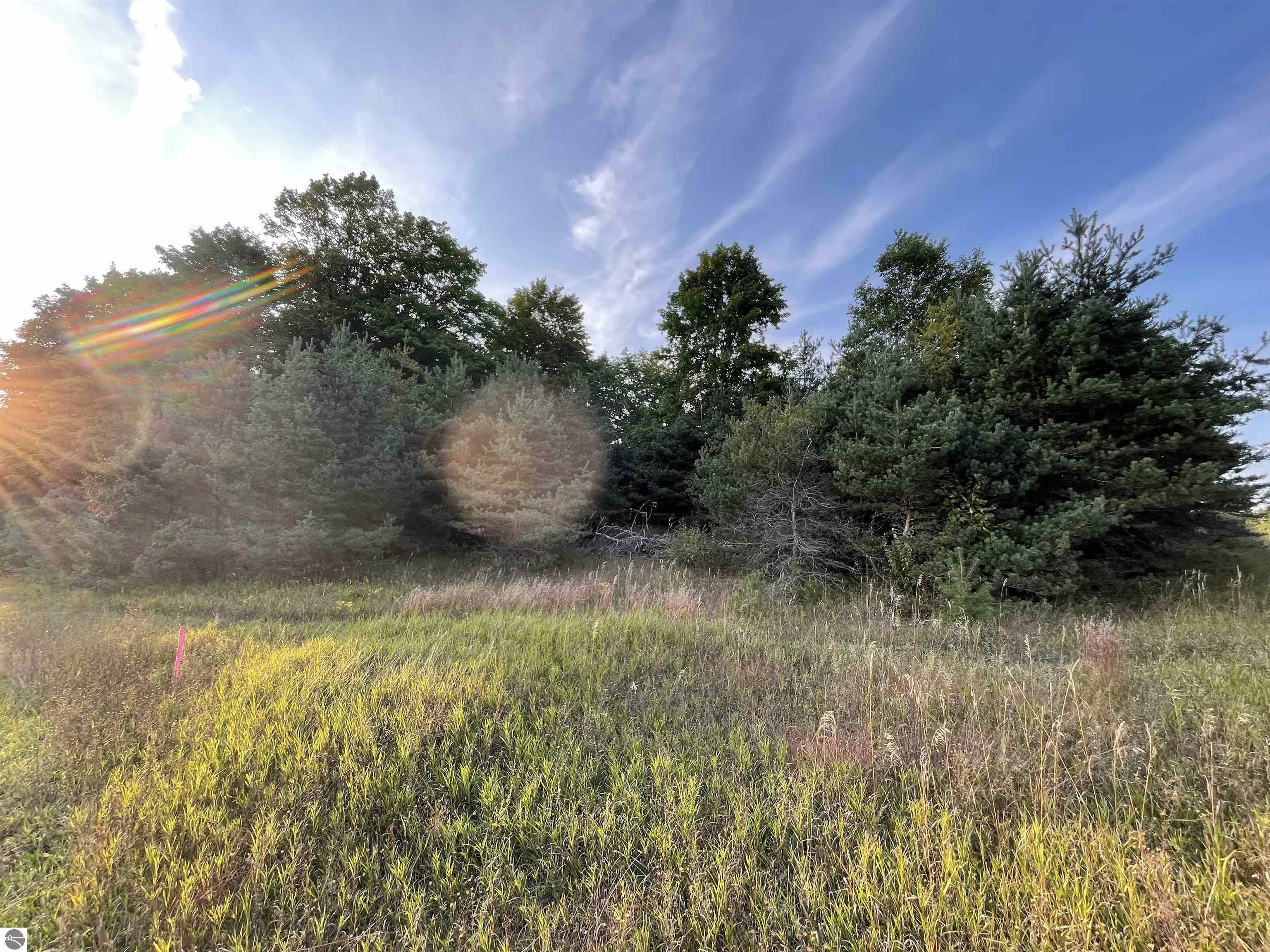 Property Photo:  V/L Parcel E E 18 1/2 Road  MI 49663-8553 