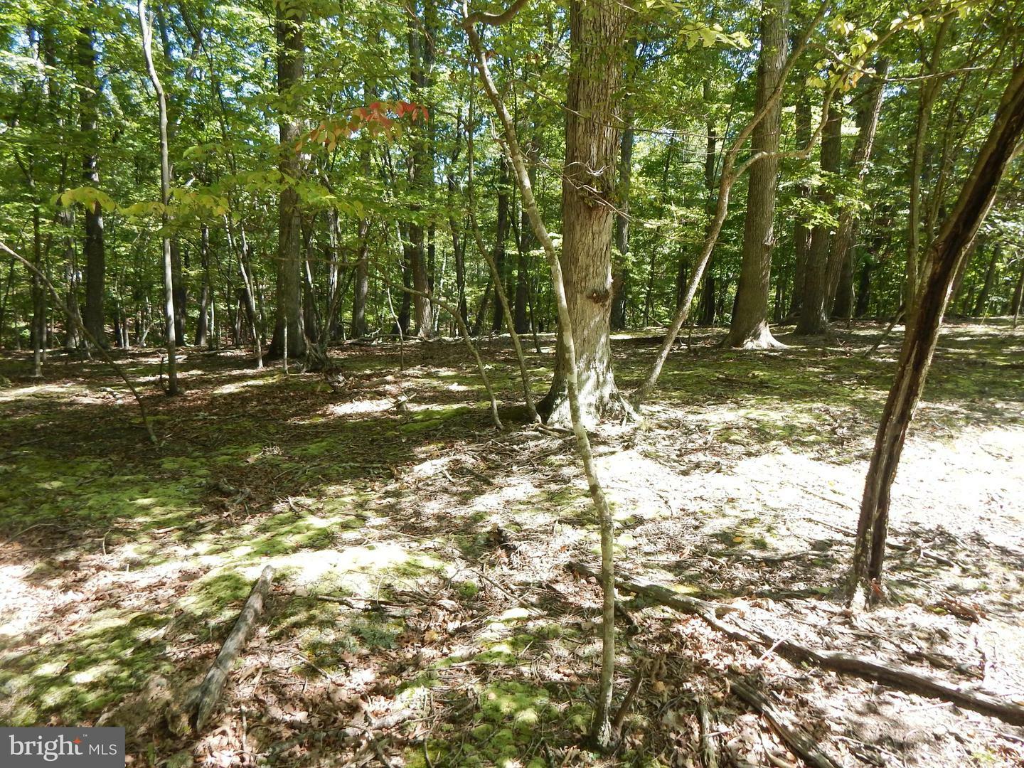 Property Photo:  Sideling Mountain Trail  WV 25422 