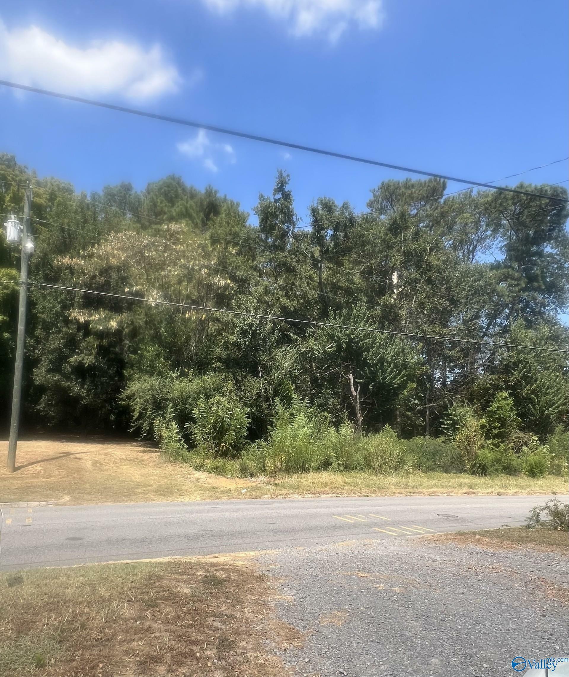 Property Photo:  Lot 3 &Amp 4 4th Avenue  AL 35016 