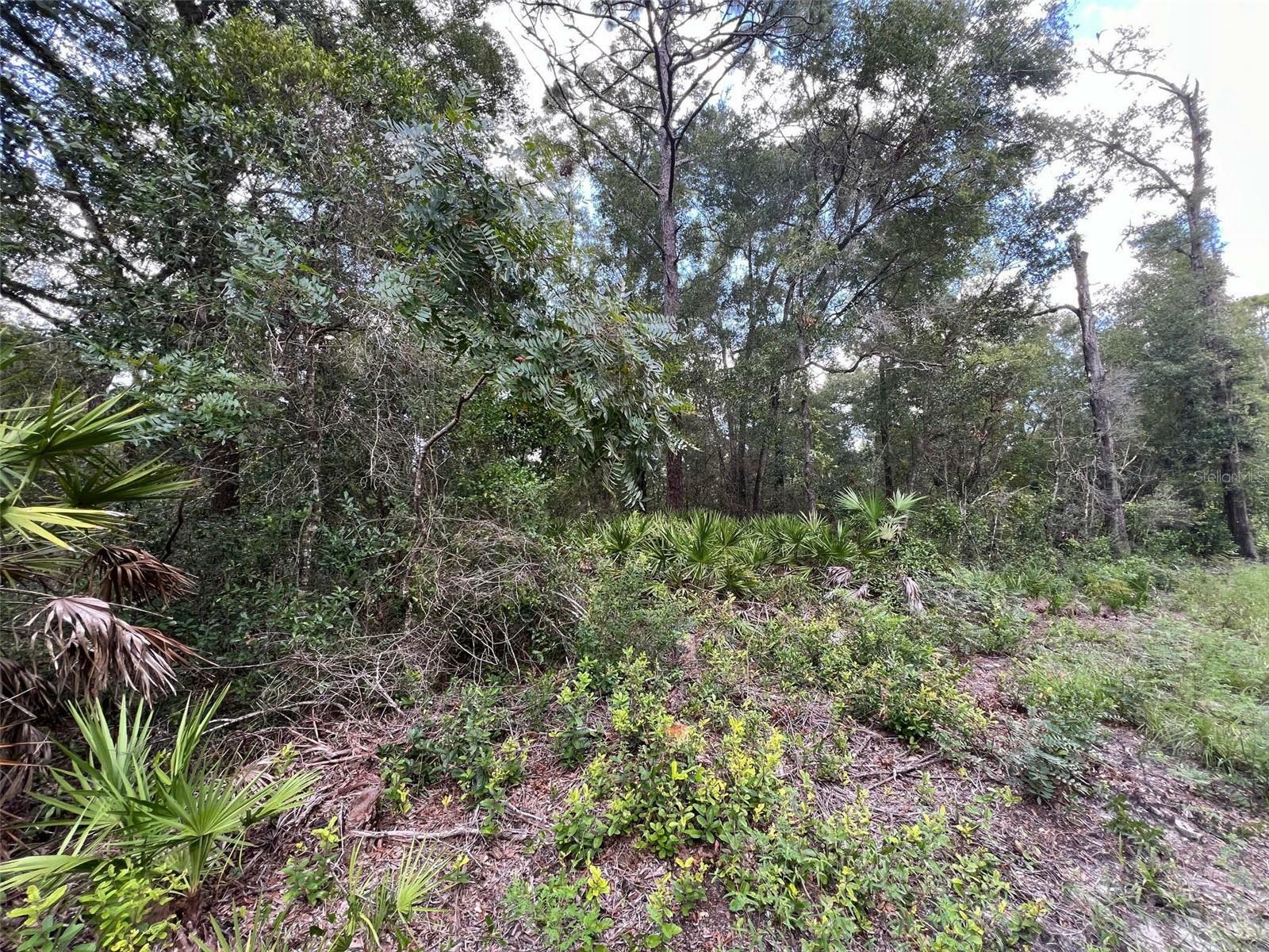 Property Photo:  NW 58th Lane  FL 32626 