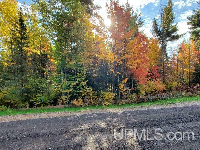 Lot #11 North Greenwood  Ishpeming MI 49849 photo