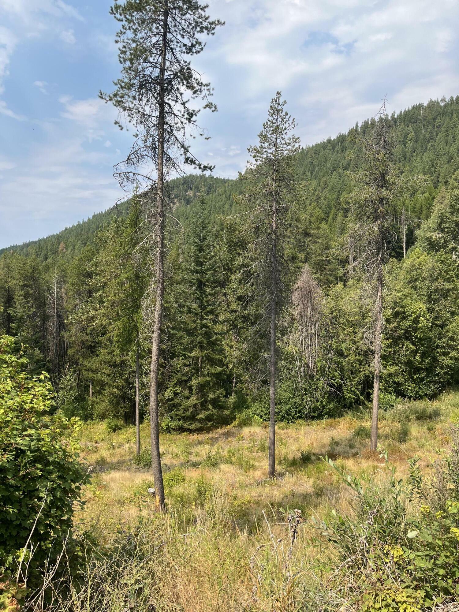 Lot 16 Kaniksu Rd  Chewelah WA 99109 photo