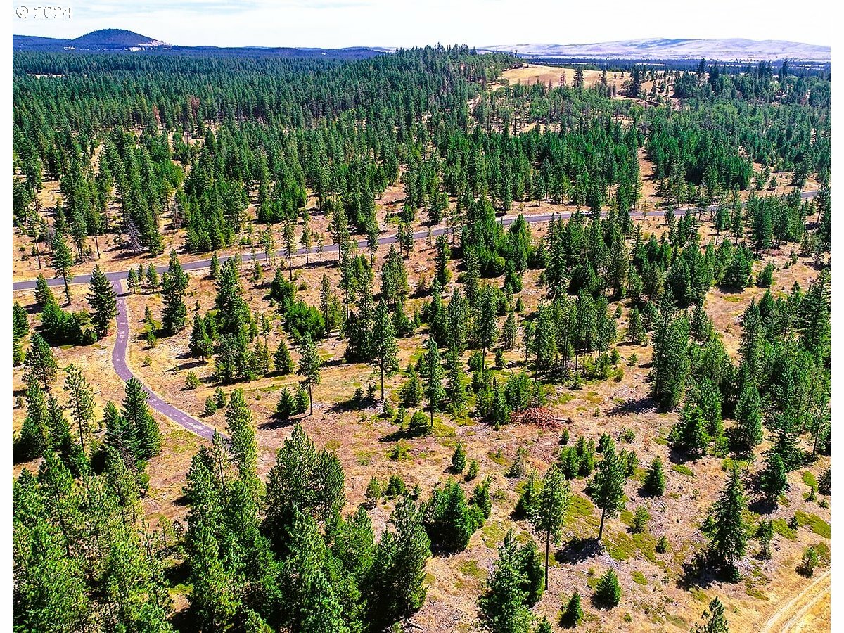 Property Photo:  Ranger Rd 3  WA 98620 