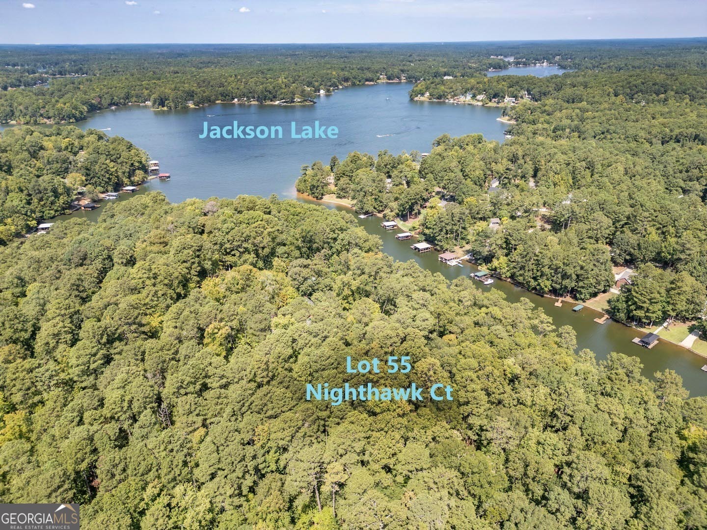 Property Photo:  0 Nighthawk Court Lot 55  GA 31064 