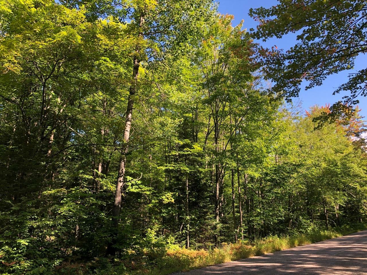 Property Photo:  On East Bay Rd  WI 54557 