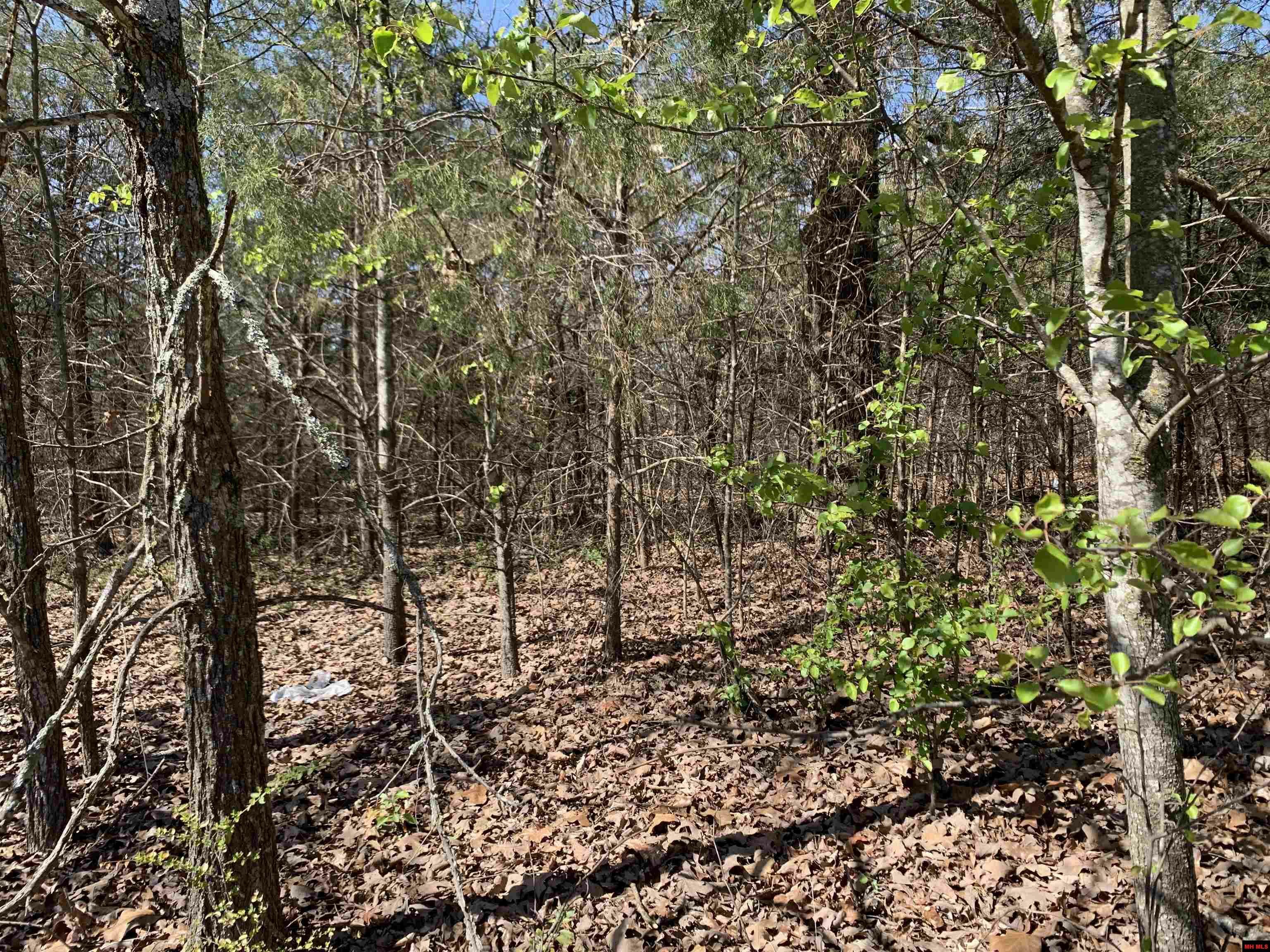 Property Photo: 002-09810-035 Pioneer Trail Drive AR 72653