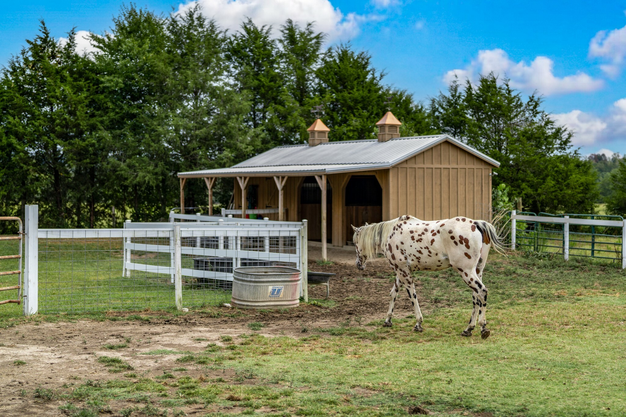 Property Photo:  656 Waynesboro Hwy  TN 38485 