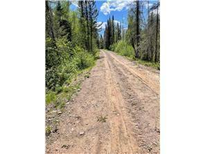 Property Photo: Xxxx Highway 1 MN 55603